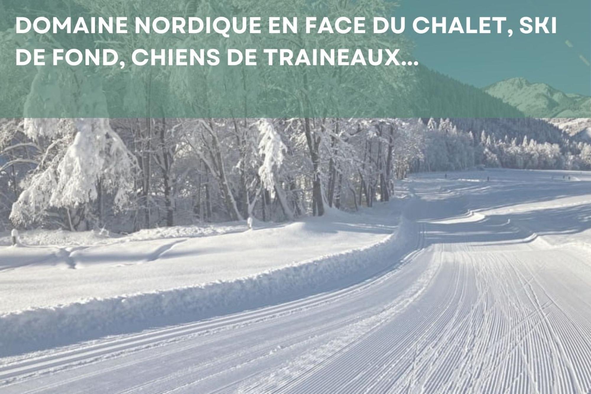 Chalet Les 4 Saisons - Ski, Parking Et Jardin Abondance 外观 照片