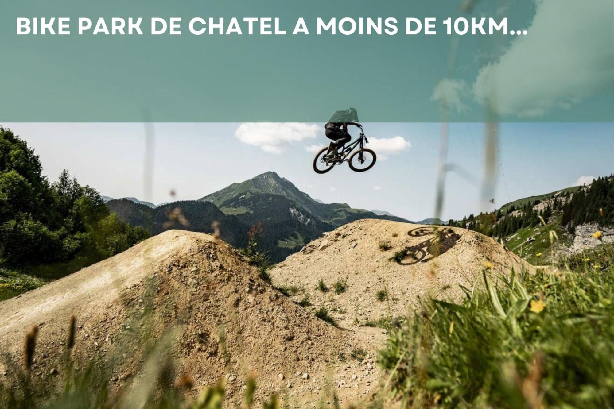Chalet Les 4 Saisons - Ski, Parking Et Jardin Abondance 外观 照片